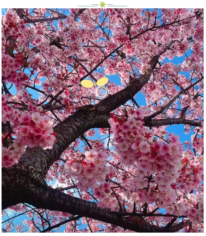 000010.png